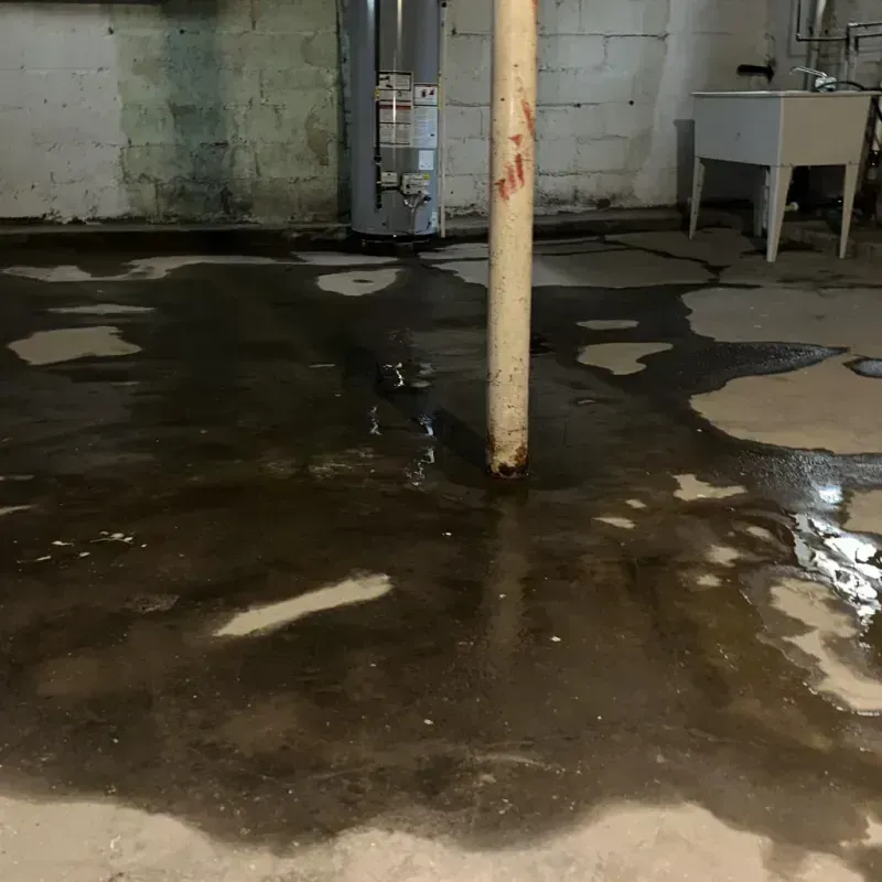 Emergency Water Extraction And Removal in Sayreville Junction, NJ